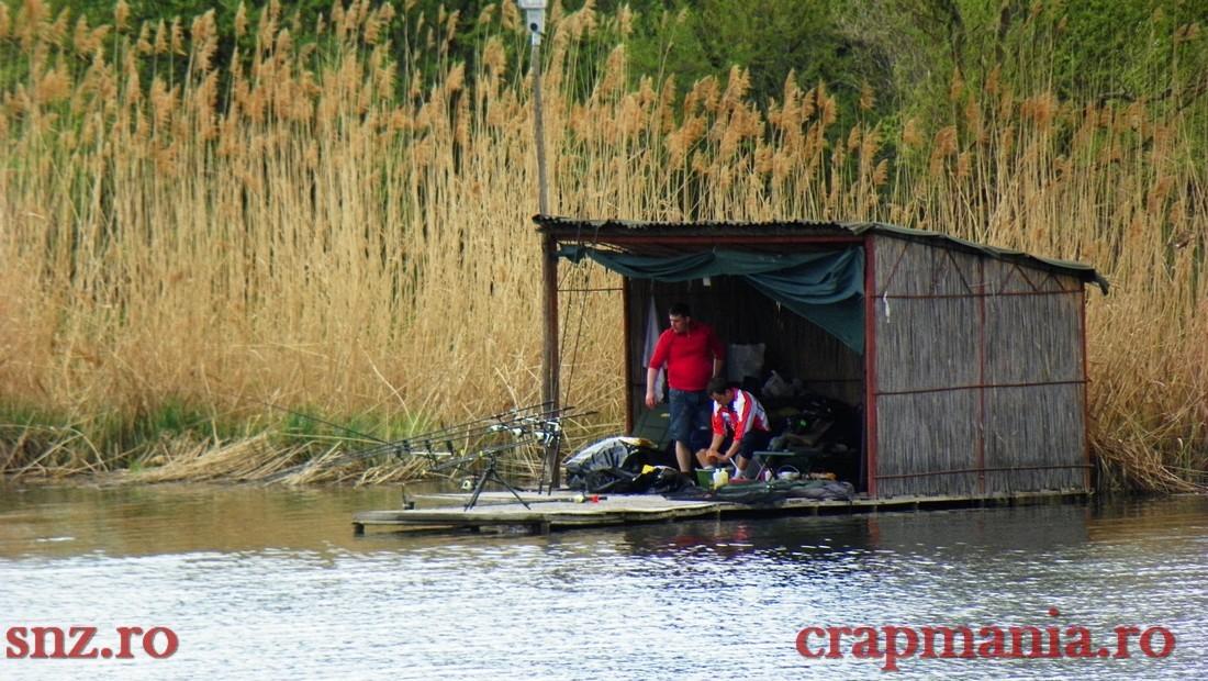 GREENFISH 2 - 1000237.jpg